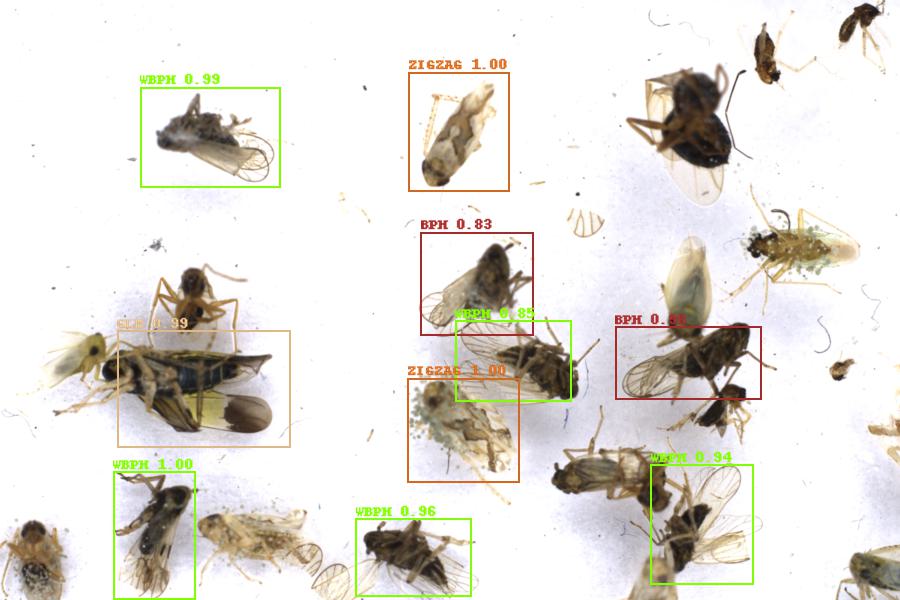 Image 2